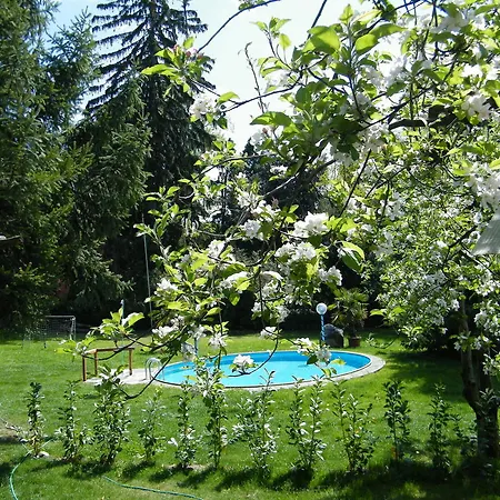 Hotel Angelica
