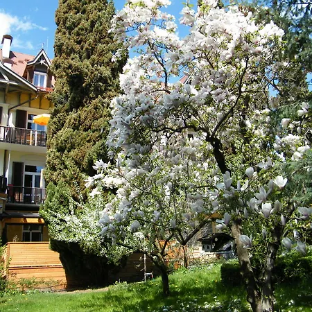 Hotel Angelica Merano